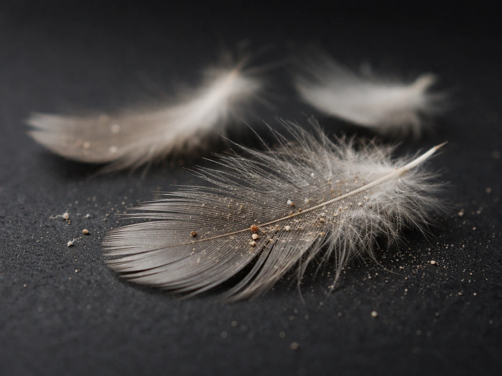 Macro close-up of feathers with tiny clinging dust specks in the barbs on a dark background.