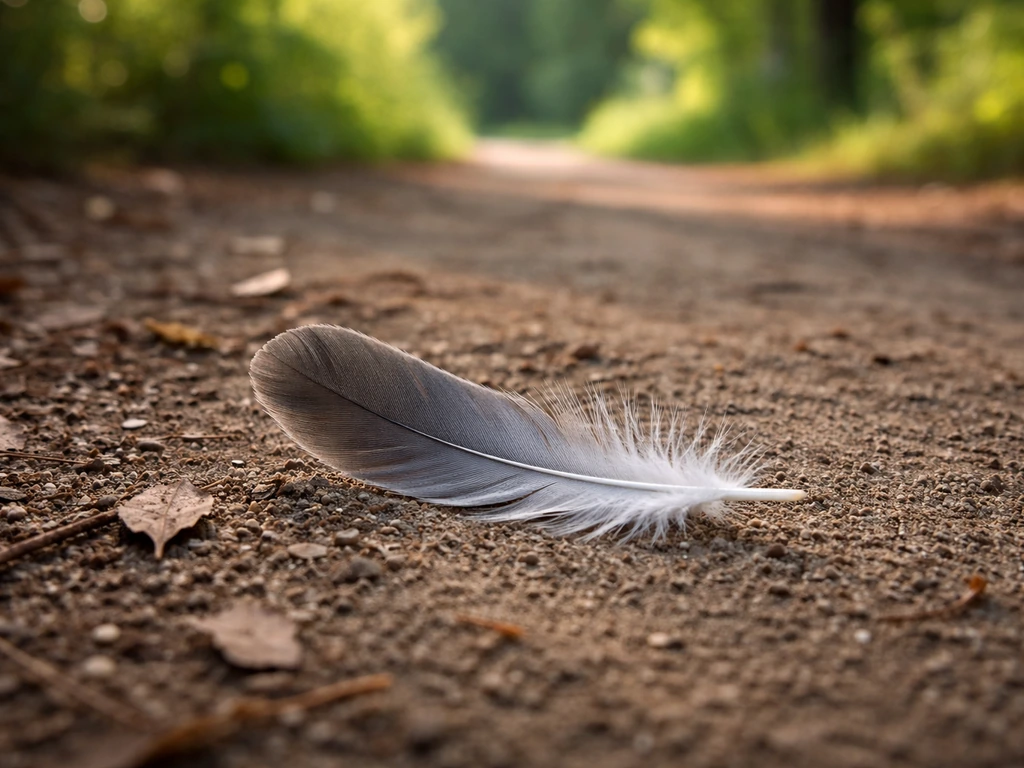 Is It Safe to Pick Up Bird Feathers? Risks and Tips